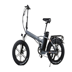 1000w bike hot sale